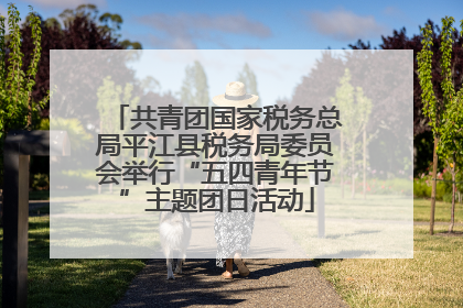 共青团国家税务总局平江县税务局委员会举行“五四青年节”主题团日活动
