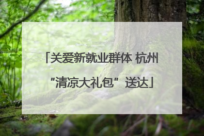 关爱新就业群体 杭州“清凉大礼包”送达