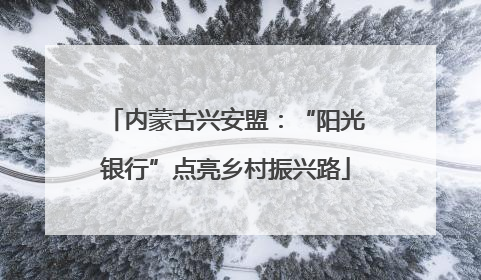 内蒙古兴安盟：“阳光银行”点亮乡村振兴路