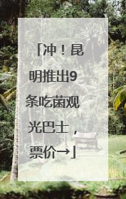 冲！昆明推出9条吃菌观光巴士，票价→