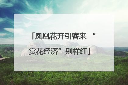 凤凰花开引客来 “赏花经济”别样红