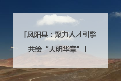 凤阳县：聚力人才引擎 共绘“大明华章”