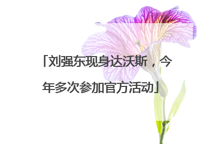 刘强东现身达沃斯，今年多次参加官方活动