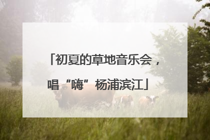 初夏的草地音乐会，唱“嗨”杨浦滨江
