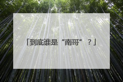 到底谁是“南哥”？