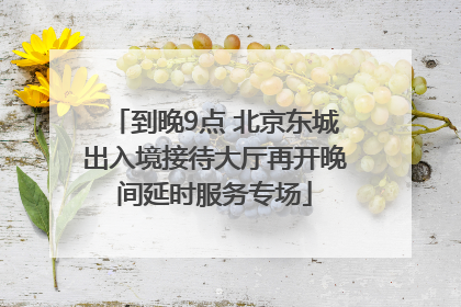 到晚9点 北京东城出入境接待大厅再开晚间延时服务专场