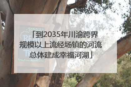 到2035年川渝跨界规模以上流经场镇的河流总体建成幸福河湖