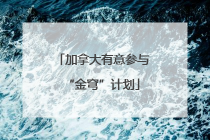 加拿大有意参与“金穹”计划