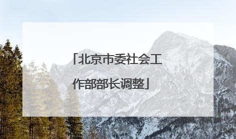 北京市委社会工作部部长调整