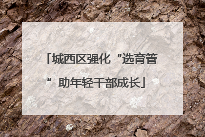 城西区强化“选育管”助年轻干部成长