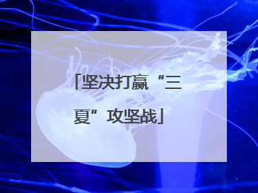 坚决打赢“三夏”攻坚战