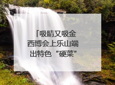 吸睛又吸金 西博会上乐山端出特色“硬菜”｜西博视界