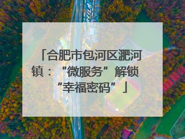 合肥市包河区淝河镇：“微服务”解锁“幸福密码”