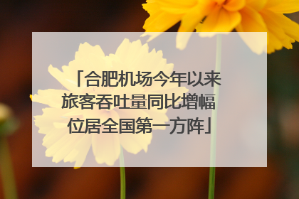 合肥机场今年以来旅客吞吐量同比增幅位居全国第一方阵