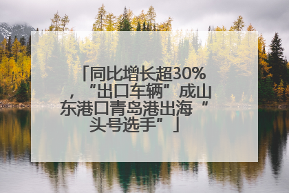 同比增长超30%，“出口车辆”成山东港口青岛港出海“头号选手”