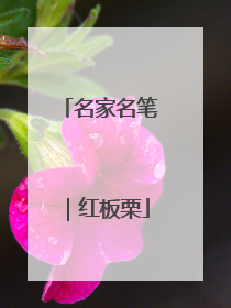 名家名笔｜红板栗