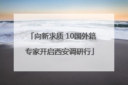 向新求质 10国外籍专家开启西安调研行