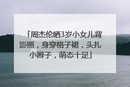 周杰伦晒3岁小女儿背影照，身穿格子裙，头扎小辫子，萌态十足