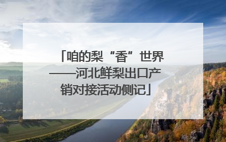 咱的梨“香”世界——河北鲜梨出口产销对接活动侧记