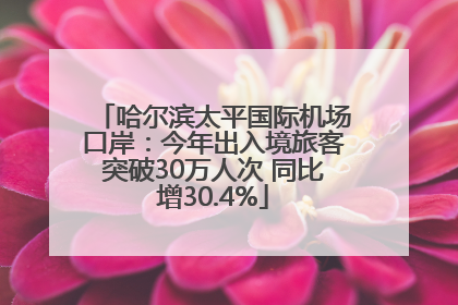 哈尔滨太平国际机场口岸：今年出入境旅客突破30万人次 同比增30.4%