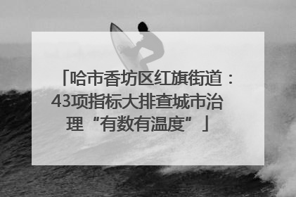 哈市香坊区红旗街道：43项指标大排查城市治理“有数有温度”