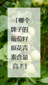 哪个牌子的葡萄籽原花青素含量高？