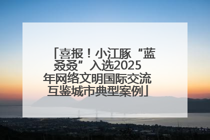 喜报！小江豚“蓝叒叒”入选2025年网络文明国际交流互鉴城市典型案例