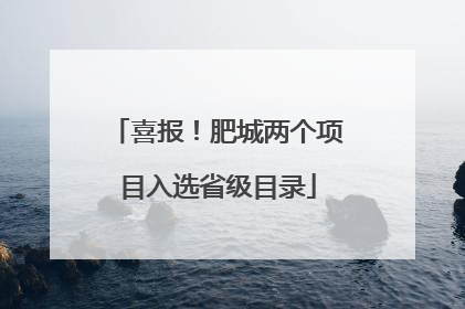 喜报！肥城两个项目入选省级目录
