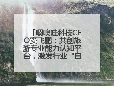 嗯噢哇科技CEO窦飞鹏：共创旅游专业能力认知平台，激发行业“自生长”力量