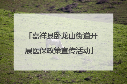 嘉祥县卧龙山街道开展医保政策宣传活动