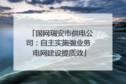 国网瑞安市供电公司：自主实施强业务 电网建设提质效