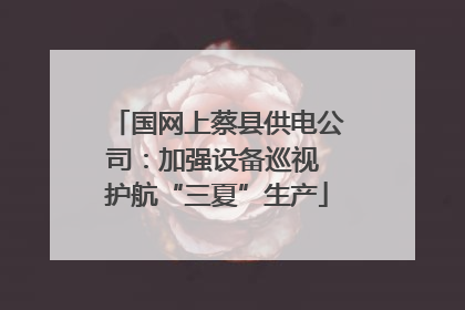 国网上蔡县供电公司：加强设备巡视 护航“三夏”生产