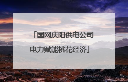 国网庆阳供电公司电力赋能桃花经济