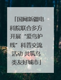国网新疆电科院联合多方开展“爱鸟护线”科普交流活动 共筑鸟类友好城市