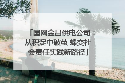 国网金昌供电公司：从积淀中破茧 蝶变社会责任实践新路径
