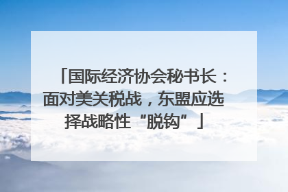 国际经济协会秘书长：面对美关税战，东盟应选择战略性“脱钩”
