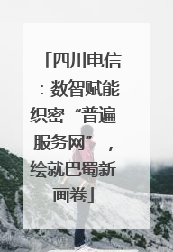 四川电信：数智赋能织密“普遍服务网”，绘就巴蜀新画卷