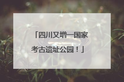 四川又增一国家考古遗址公园！