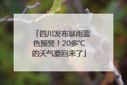 四川发布暴雨蓝色预警！20多℃的天气要回来了