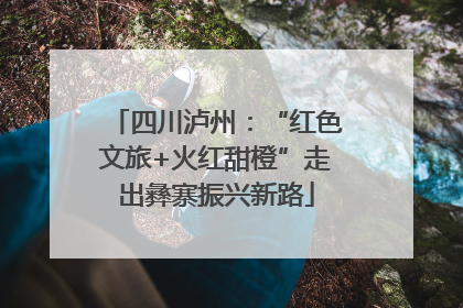 四川泸州：“红色文旅+火红甜橙”走出彝寨振兴新路