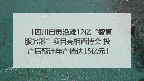 四川自贡沿滩12亿“智算服务器”项目亮相西博会 投产后预计年产值达15亿元