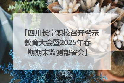 四川长宁职校召开警示教育大会暨2025年春期期末监测部署会