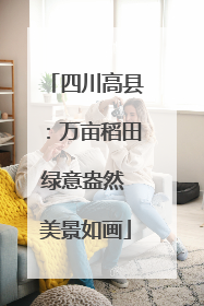 四川高县：万亩稻田绿意盎然 美景如画