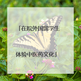 在皖外国留学生体验中医药文化