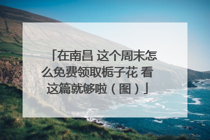 在南昌 这个周末怎么免费领取栀子花 看这篇就够啦（图）