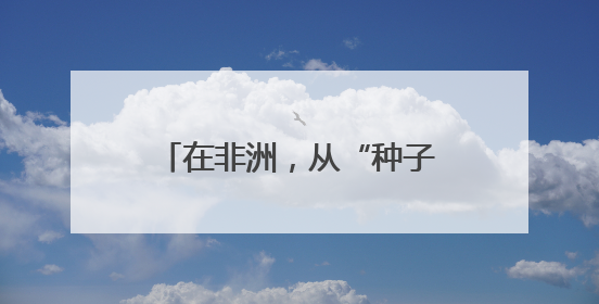 在非洲，从“种子”到“杯子”的遥远距离——一颗咖啡豆的前世今生（三）