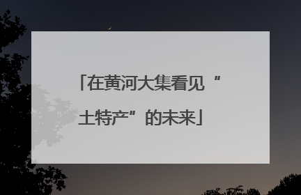 在黄河大集看见“土特产”的未来