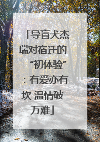 导盲犬杰瑞对宿迁的“初体验”：有爱亦有坎 温情破万难