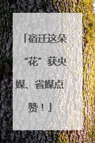 宿迁这朵“花”获央媒、省媒点赞！