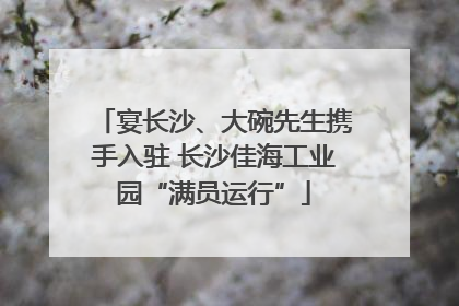 宴长沙、大碗先生携手入驻 长沙佳海工业园“满员运行”